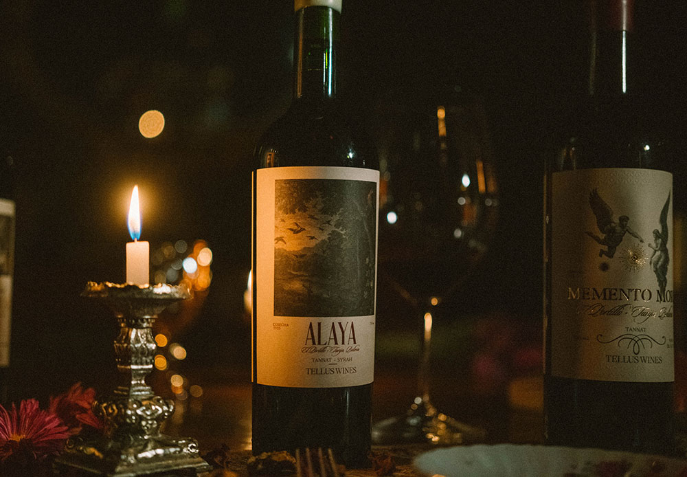 imagen_vino_02