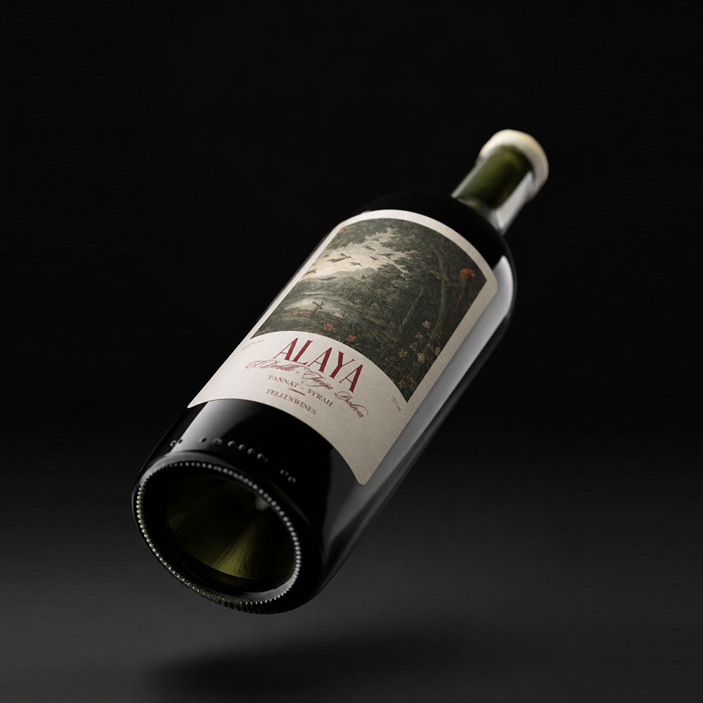 wine_alaya04